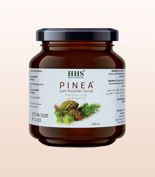 Natural Pine Cone Syrup with Rosehip & Ginger Immune Support Blend