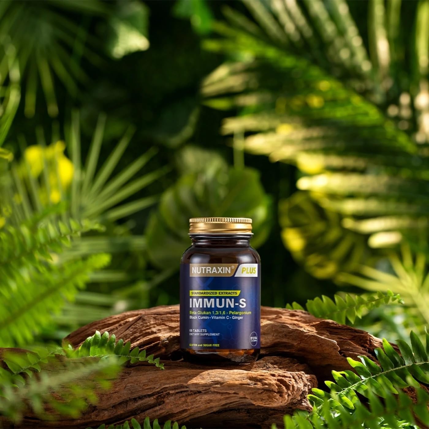 Nutraxin Plus Immun-S: Advanced 1,3-1,6 Beta-Glucan 60 Tablets for Robust Immune Support
