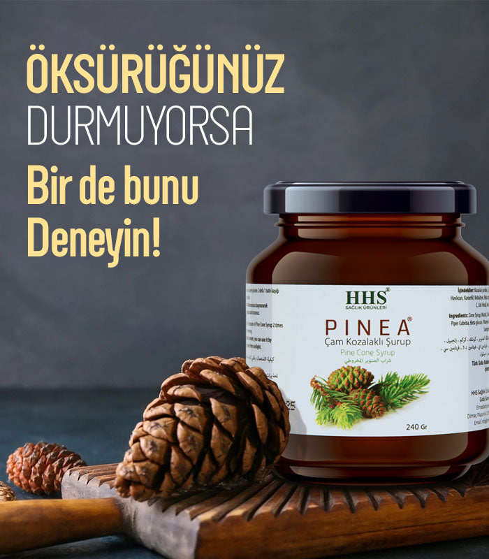 Natural Pine Cone Syrup with Rosehip & Ginger Immune Support Blend