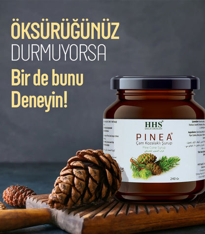 Natural Pine Cone Syrup with Rosehip & Ginger Immune Support Blend